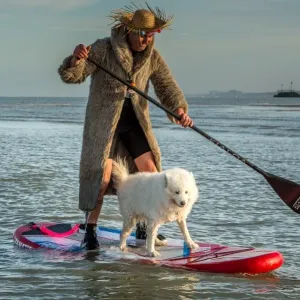 France-Surf-Dog