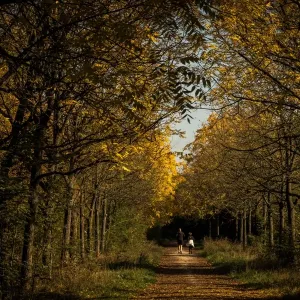 France-Weather-Autumn