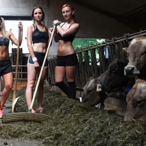 Offbeat Quirky Images Prints: Bavaria - Farming Calender
