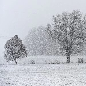 Germany - Bavaria - Winter Weather