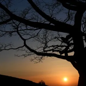 GERMANY-WEATHER-SUNSET