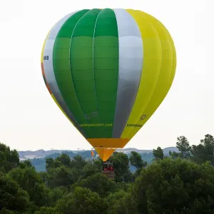 A hot-air balloon raises amongst trees during the 21th European Balloon Festival in Igualada A hot-air balloon raises amongst trees during the 21th European Balloon Festival in Igualada