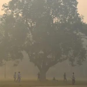 India - Cricket - Ambiente India - Cricket - Ambiente