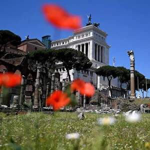 Italy-Rome-Culture-Heritage-Archaeology-Tourism