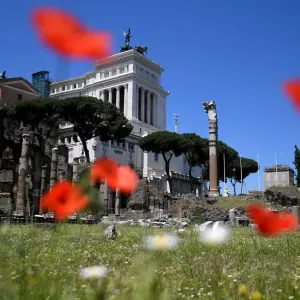 Print of The Forum of Caesar with the Vittorio Emanuele II Monument in Rome Print of The Forum of Caesar with the Vittorio Emanuele II Monument in Rome