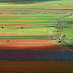 Italy-Tourism-Environment Italy-Tourism-Environment