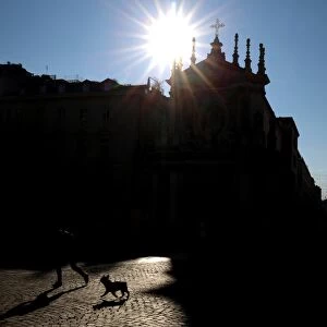 Italy-Turin-Feature-Dog