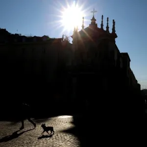 Italy-Turin-Feature-Dog