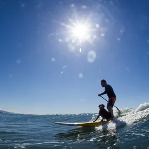 Italy-Weather-Surf-Dog-Feature