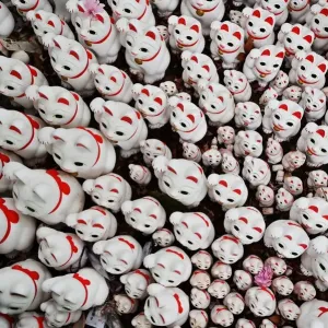 Japan-Religion-Cats Japan-Religion-Cats