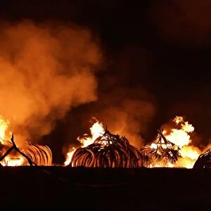 Kenya-Ivory-Wildlife-Fire