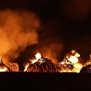 Kenya-Ivory-Wildlife-Fire