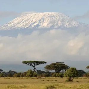 Kenya-Park-Kilimanjaro