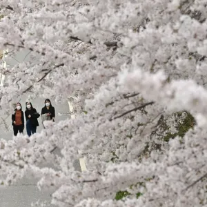 KOREA-WEATHER-LIFESTYLE-SPRING