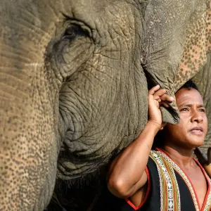 Print of a Mahout with his Elephant