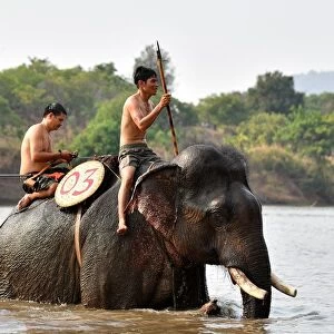 Mahout Y Hoi Bya (L) rides his elephant named Kham Sinh