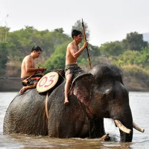 Mahout Y Hoi Bya (L) rides his elephant named Kham Sinh