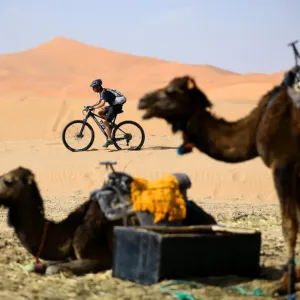Morocco Cycling Print: Mountain Biker in Training Morocco Cycling Print: Mountain Biker in Training