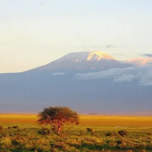 Travel Prints: Africa