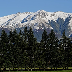 New Zealand-South Island-Mountain