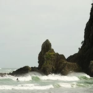 New Zealand-Surfing-Piha Beach