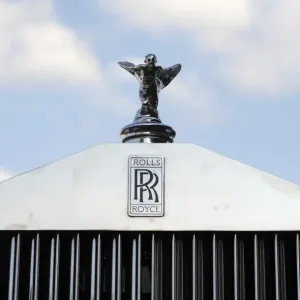 1952 Rolls Royce Hood Ornament Print