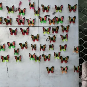 Pakistan-Display-Butterflies Pakistan-Display-Butterflies