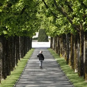 This photo taken on May 1, 2014, shows a young boy walking on a path lined with trees This photo taken on May 1, 2014, shows a young boy walking on a path lined with trees