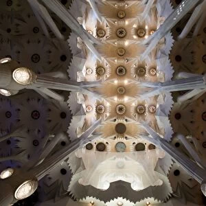 Picture shows the ceiling of the Expiatory Church of the Sagrada Familia"