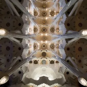 Picture shows the ceiling of the Expiatory Church of the Sagrada Familia Picture shows the ceiling of the Expiatory Church of the Sagrada Familia