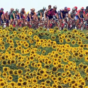 Repetition-Cyclisme-Tdf2001-Carte-Postale