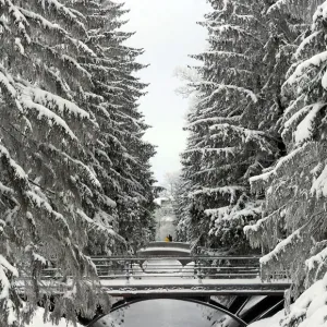 Russia-Weather-Feature Russia-Weather-Feature
