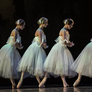 Dance Collection: Ballet