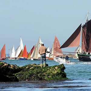 Sailing-France-Tradition-Gulf-Week