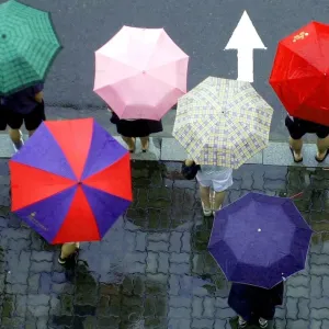 South Korea Rain South Korea Rain