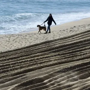 Print of a Woman Walking Her Dog on a Clean Beach in Badalona Print of a Woman Walking Her Dog on a Clean Beach in Badalona