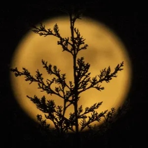 Spain-Science-Astronomy-Supermoon Spain-Science-Astronomy-Supermoon