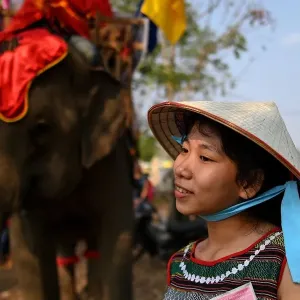 A spectator waits for the start of the elephant race during the Buon Don elephant festival in Vietnams central highlands of Dak Lak province