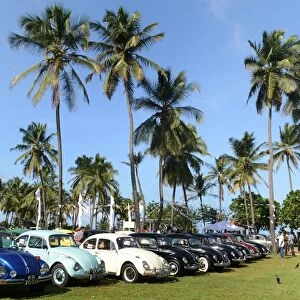 Classic cars and vehicles Collection: VW