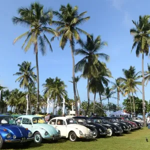 Sri Lanka-Auto-Volkswagen-Car