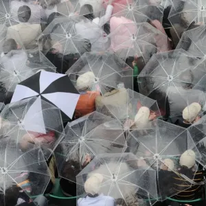 Print of people under umbrellas at the French Open tennis match Print of people under umbrellas at the French Open tennis match