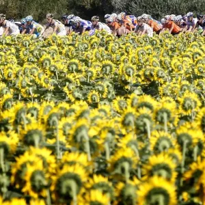 Tour de France Stage Print