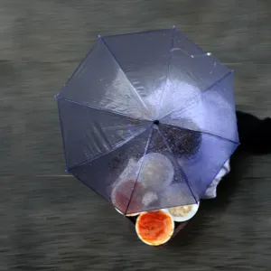 Turkey Rain Feature Print Turkey Rain Feature Print