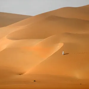 Uae-Camel-Desert-Nature-Tourism