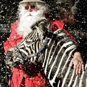 Santa Claus at Harrods with a Zebra Print Santa Claus at Harrods with a Zebra Print