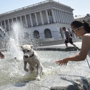 Ukraine-Weather-Feature-Dog