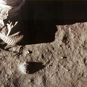 Us-Apollo Xi-Footprint
