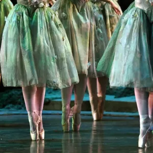 Ballet Royal de Danse des États-Unis. Ballet Royal de Danse des États-Unis.