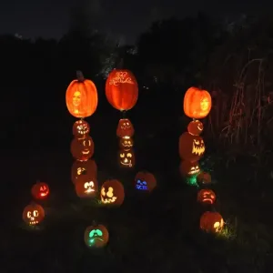 Us-Halloween-Pumpkins-Jack O lanterns-Carving-Illuminated-Rise O Us-Halloween-Pumpkins-Jack O lanterns-Carving-Illuminated-Rise O