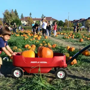 Us-Lifestyle-Holiday-Halloween Us-Lifestyle-Holiday-Halloween
